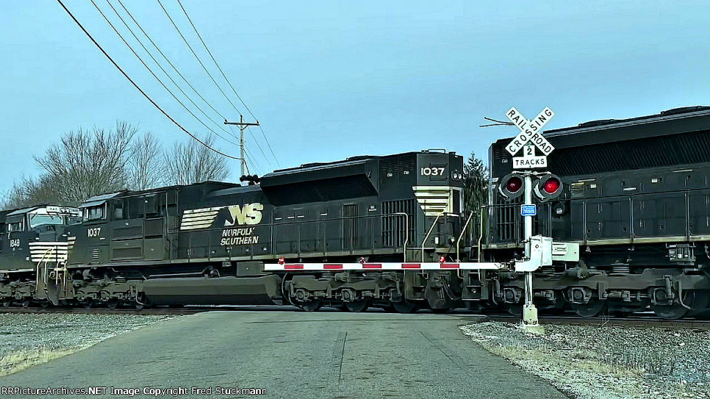 NS 1037